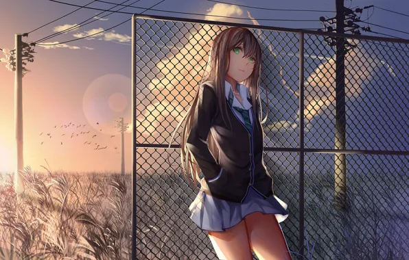 Picture the sky, girl, clouds, sunset, birds, posts, wire, anime