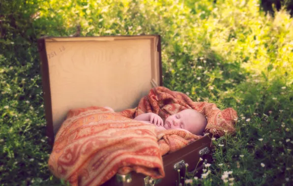 Picture background, suitcase, baby