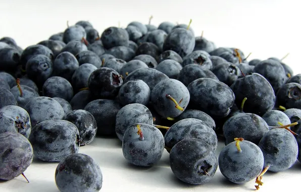 Berries, placer, bokeh, blueberries