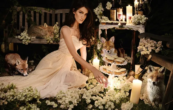 Picture girl, flowers, holiday, candles, Fox