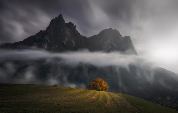 Autumn, mountains, clouds, tree