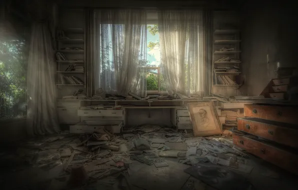 Room, picture, book, shelves