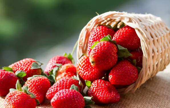 Berries, strawberry, basket