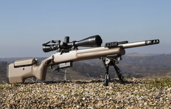 Weapons, optics, gravel, rifle, sniper, fry, Remington 700