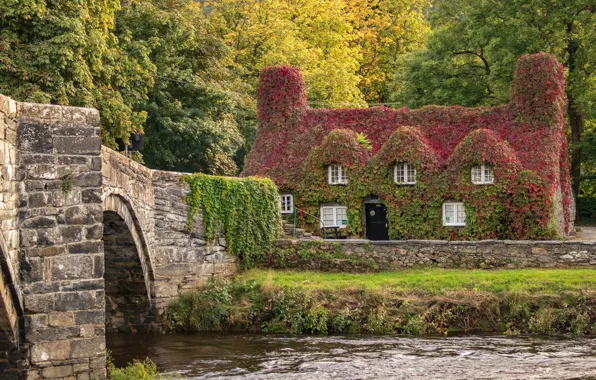 Autumn, trees, bridge, house, river, the building, England, England