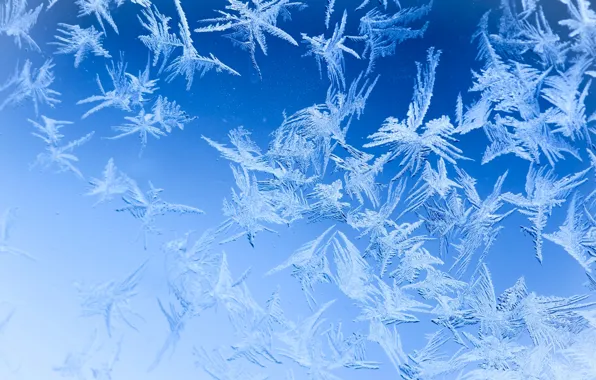 Winter, glass, patterns, frost