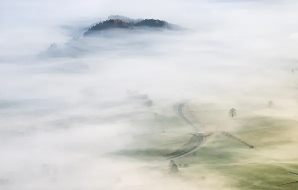 Road, field, fog