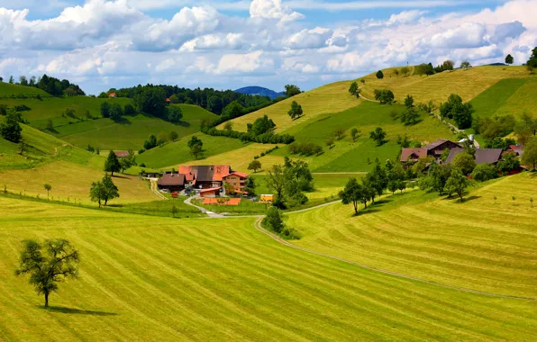 Picture the sky, grass, clouds, trees, mountains, hills, home