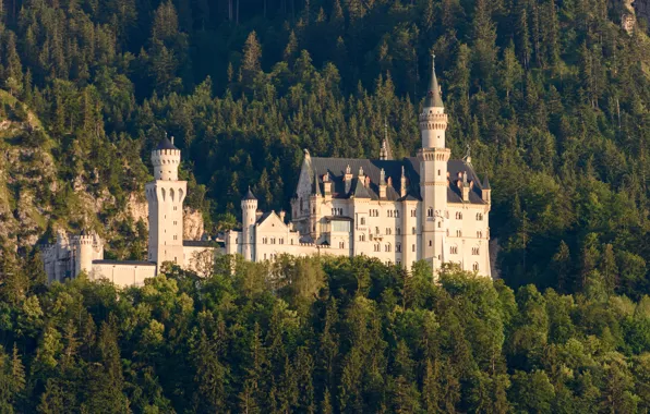 Forest, trees, castle, Germany, Bayern, Germany, Bavaria, Neuschwanstein Castle