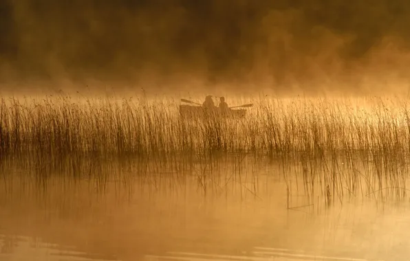 Landscape, nature, river, people, boat, reed, rivers, people