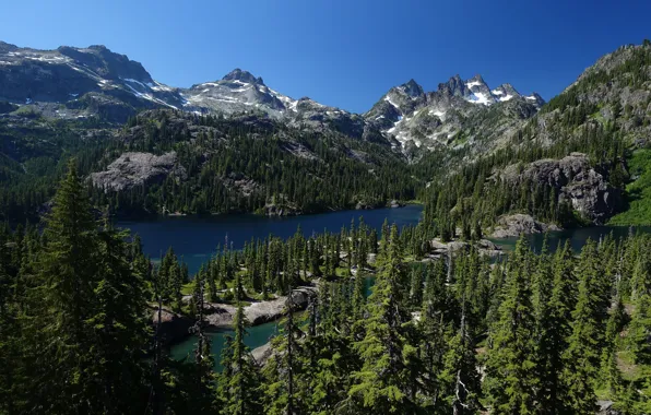Picture trees, mountains, lake, ate, The cascade mountains, Mount Baker-Snoqualmie National Forest, Washington State, Cascade Range