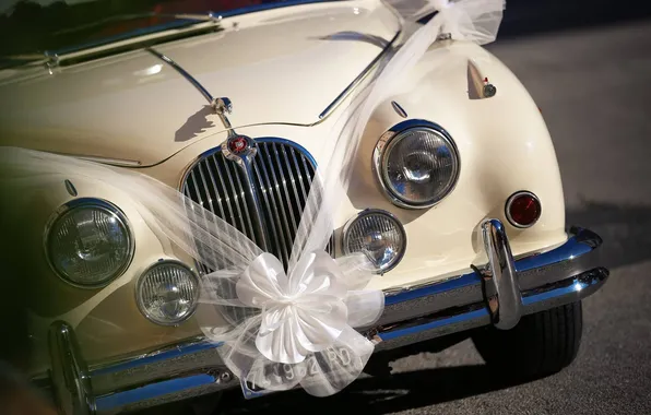 Picture retro, classic, bow, wedding car