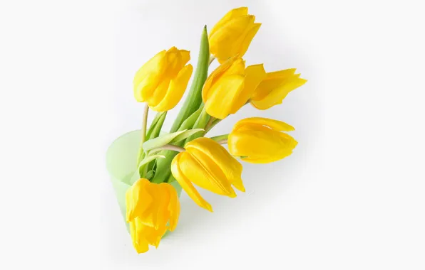 Picture bouquet, yellow, tulips, white background, vase