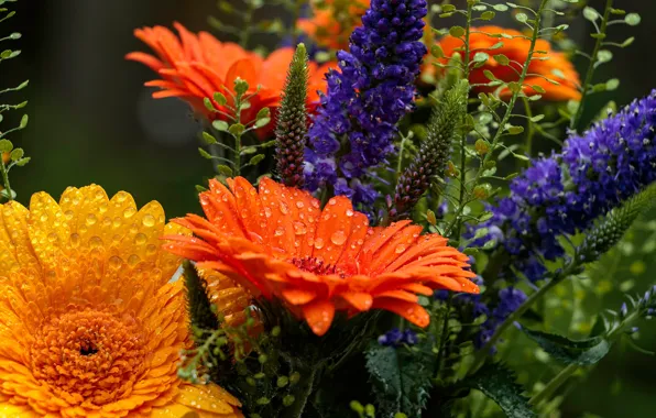 Bouquet, Veronica, gerbera