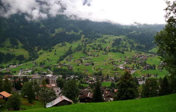 Picture city, house, Town