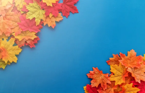 Autumn, leaves, background, colorful, background, autumn, leaves, autumn