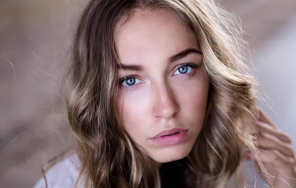 Picture portrait, sponge, the beauty, blue-eyed, curls