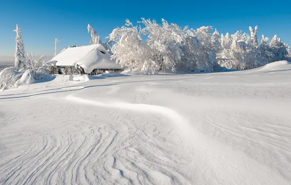 Winter, snow, landscape, home