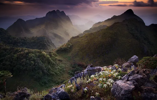Mountains, clouds, vegetation, Thailand