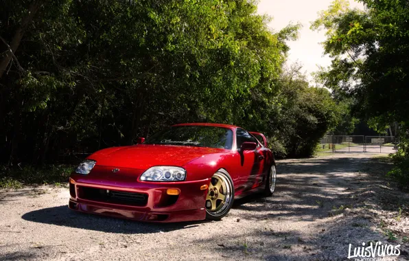 Picture red, supra, road, trees, toyota