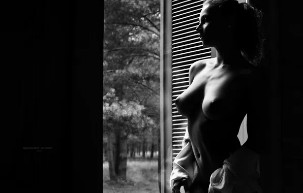 Girl, pose, passion, body, b/W, touch, twilight, the beauty
