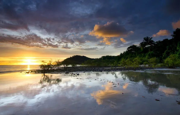 Sea, landscape, sunset, shore