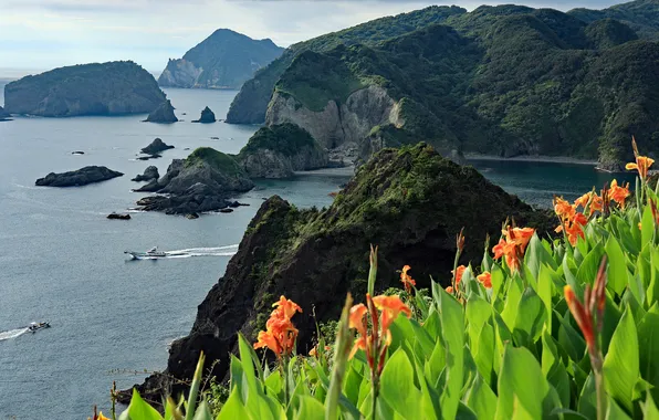 Sea, flowers, mountains, rocks, shore, view