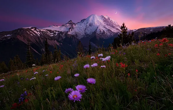 Summer, the sky, snow, flowers, mountains, tops, a month, the evening