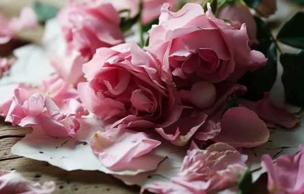 Flowers, holiday, roses, petals, AI art, neural network