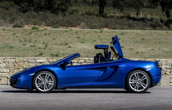 Spider, MP4, Mclaren, 12C