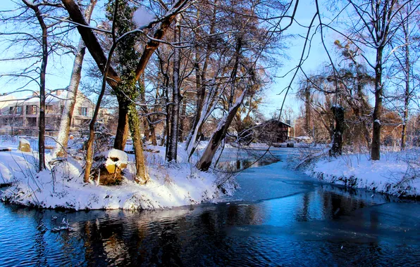 Park, winter, snow, pond