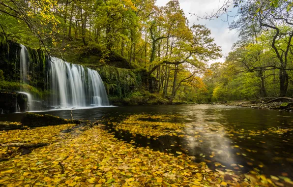 Autumn, river, waterfall