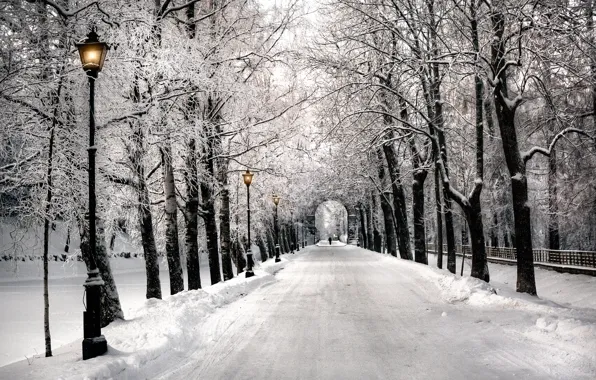 Winter, Park, lights, Saint Petersburg, alley