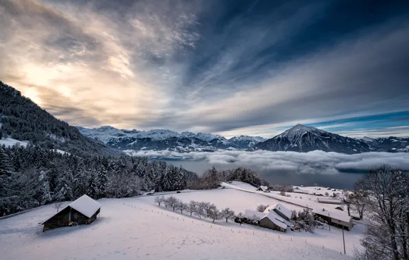 Winter, snow, trees, mountains, lake, dawn, morning, Switzerland