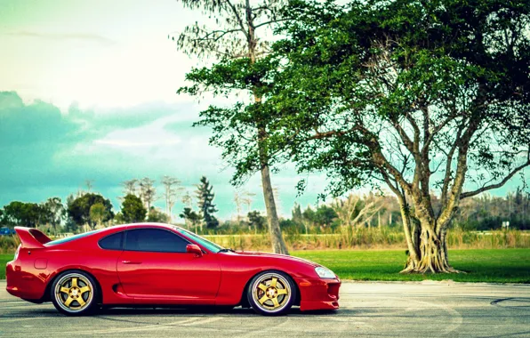 Picture red, supra, Toyota, Toyota, supra, JDM