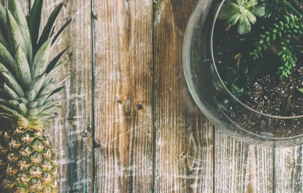 Flower, table, Board, plant, pot, pineapple, still life, wood