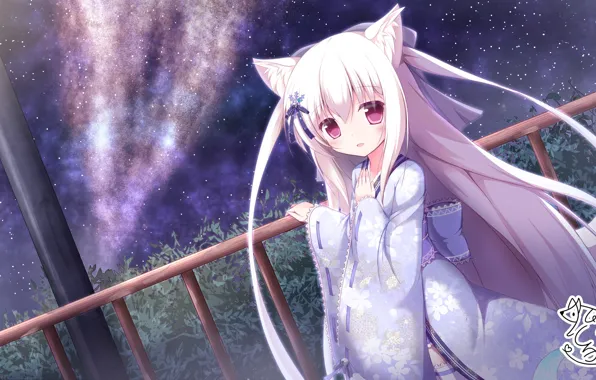 Night, Girl, Neko