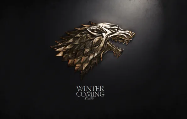 Picture winter, Game of thrones, Stark, Martin George R.R.
