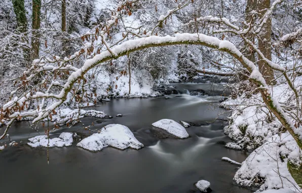 Picture forest, snow, Germany, river, Rhineland-Palatinate