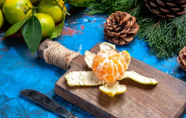 Leaves, branches, Christmas, knife, New year, needles, bumps, citrus