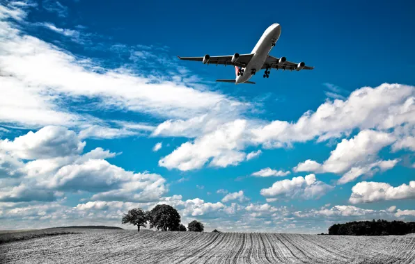 Field, the sky, clouds, the plane