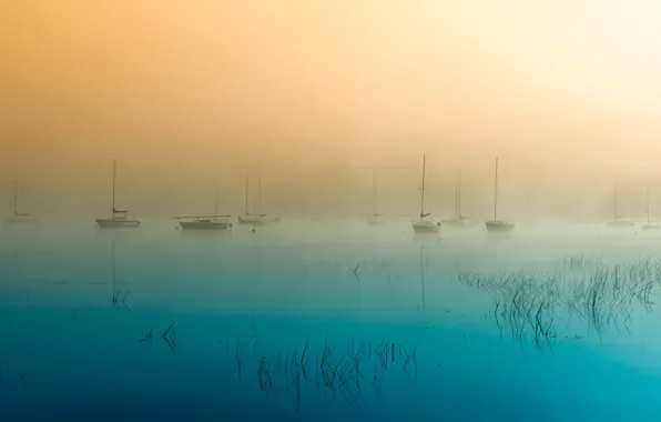 Picture landscape, fog, lake, boats, morning