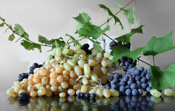 Table, grapes, bunches
