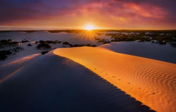 Picture sand, sunset, dunes, Australia, South Australia, Kangaroo Island, Vivonne Bay, Little Sahara