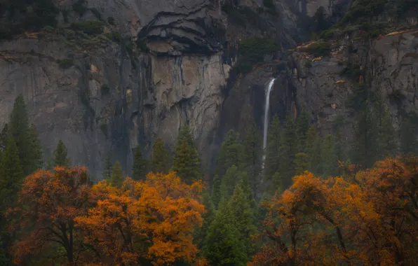 Picture autumn, trees, mountains, rocks, waterfall