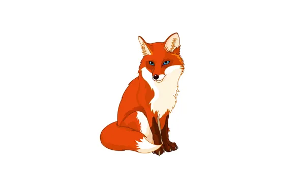 Picture minimalism, Fox, white background, fox