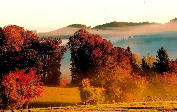 Autumn, the sky, clouds, trees, mountains, fog, hills
