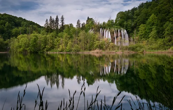 Forest, the sky, grass, clouds, trees, landscape, lake, waterfall