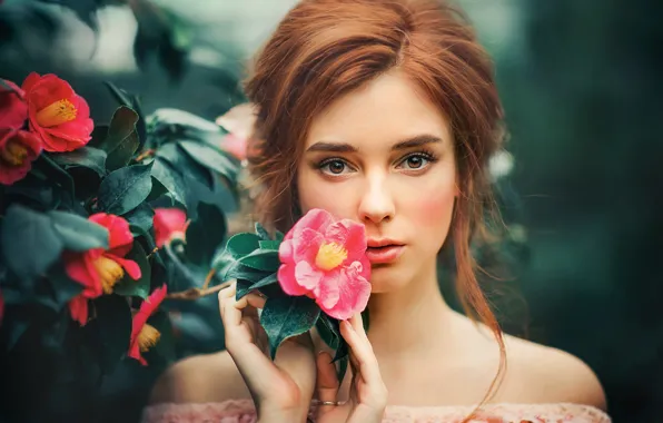 Picture flowers, sponge, brown-eyed, Olga Boyko, A flower