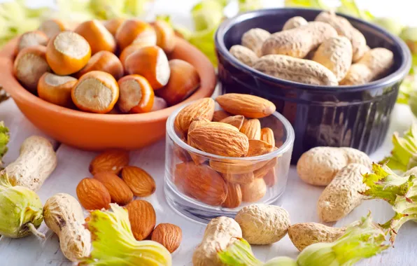 Picture dishes, nuts, almonds, hazelnuts, forest